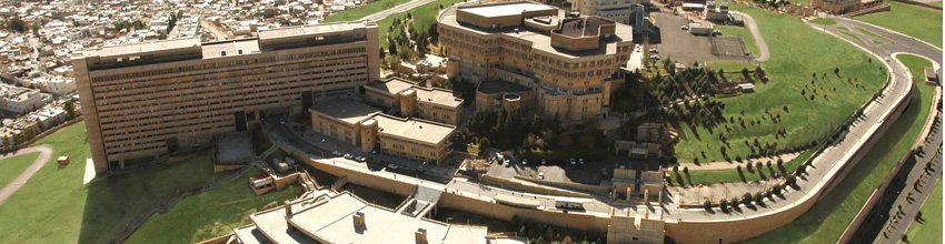 دانشگاه شیراز-راه دکتری