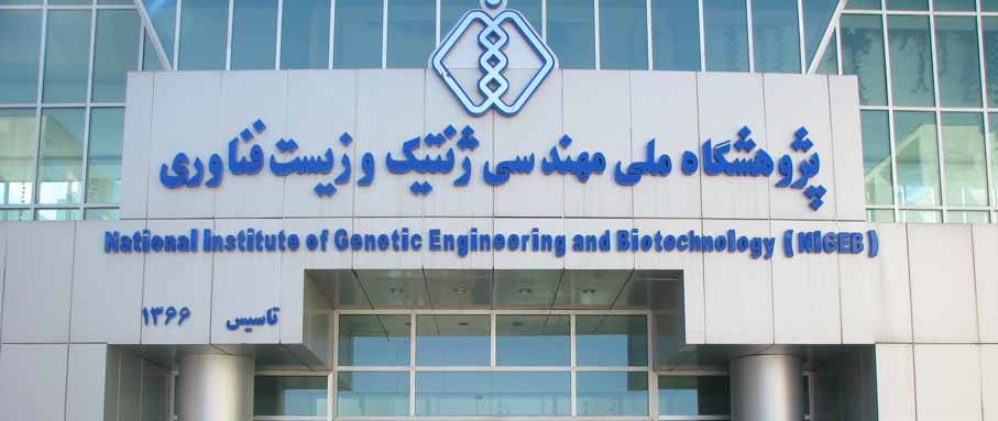 پژوهشگاه ملی مهندسی ژنتیک